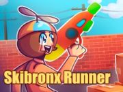 Jwèt Kourè Skibronx sou entènèt