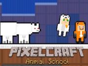 Jwèt Lekòl Bèt PixelCraft sou entènèt
