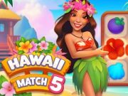 Jwèt Hawaii Matche 5 sou entènèt