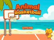 Jwèt Animal baskètbòl sou entènèt