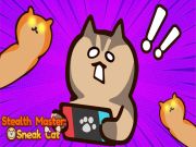 Jwèt Enfiltrasyon mèt fofile chat sou entènèt