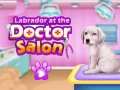 Jwèt Labrador nan salon doktè a sou entènèt