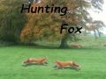 Jwèt Lavi Fox sou entènèt