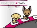 Jwèt Paw ki anpil: Jou Chen sou entènèt Jwèt Paw ki anpil: Jou Chen sou entènèt