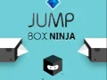 Jwèt Ninja Box Sote sou entènèt