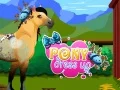 Jwèt Pony Abiyans sou entènèt