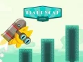 Jwèt Chat Flap sou entènèt