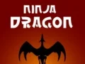 Jwèt Ninja Dragon sou entènèt