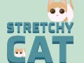 Jwèt Chat Stretch sou entènèt