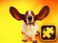 Jwèt Puzzle Chien Drol sou entènèt