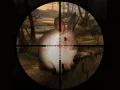 Jwèt Chas klasikal pou lapen sniper 2019 sou entènèt