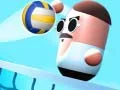 Jwèt Voley Gey sou entènèt