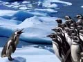 Jwèt Glise Pinguin sou entènèt