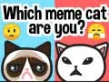 Jwèt Ki chat meme ou ye? sou entènèt Jwèt Ki chat meme ou ye? sou entènèt
