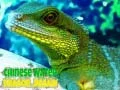 Jwèt Puzle Dragon Dlo Chinwa sou entènèt Jwèt Puzle Dragon Dlo Chinwa sou entènèt