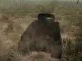 Jwèt Batay Tank sou entènèt