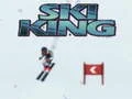 Jwèt Wa Ski sou entènèt