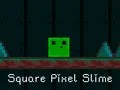 Jwèt Slime Piksel Kare sou entènèt Jwèt Slime Piksel Kare sou entènèt