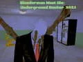 Jwèt Slenderman Dwe . Souf Kote a 2021 sou entènèt