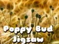 Jwèt Puzz la patwè sou entènèt