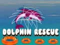 Jwèt Reskons delfin sou entènèt