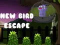 Jwèt Nouvo Ekspozisyon Oiseau sou entènèt Jwèt Nouvo Ekspozisyon Oiseau sou entènèt