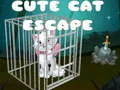 Jwèt Soti Chat Bèl sou entènèt Jwèt Soti Chat Bèl sou entènèt
