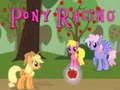 Jwèt Kous Poni sou entènèt Jwèt Kous Poni sou entènèt