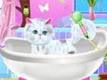 Jwèt Ekselan Groomer Bèt kay sou entènèt