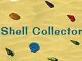 Jwèt Kolektè Shell sou entènèt