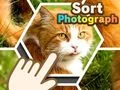 Jwèt Triage Foto sou entènèt