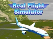 Jwèt Vre simulate vol sou entènèt