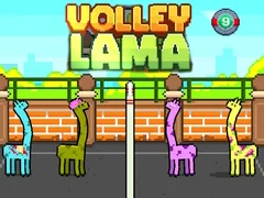 Jwèt Volley Lama sou entènèt