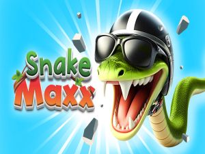 Jwèt Koulèv maxx sou entènèt
