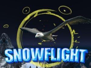 Jwèt Snowflight sou entènèt