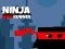 Jwèt Ninja Kourè Miwa sou entènèt