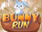Jwèt Kouri Lapin sou entènèt