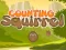 Jwèt Squirrel konte sou entènèt