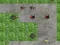 Jwèt Defans Tower Spider sou entènèt