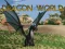 Jwèt Monde Dragon sou entènèt