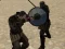 Jwèt Simulatè Gladiatè sou entènèt