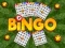 Jwèt Bingo sou entènèt