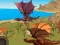 Jwèt Simulateur Dragon sou entènèt