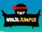 Jwèt Ninja Sote sou entènèt