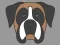 Jwèt Koloraj Figy ou Chien sou entènèt