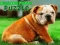 Jwèt Bulldog Puppy Puzzle sou entènèt
