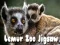 Jwèt Paz Paf Zoo Lemur yo sou entènèt