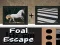 Jwèt Fui foal sou entènèt