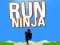 Jwèt Kouri Ninja sou entènèt