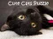 Jwèt Pazzl Chat Cute sou entènèt